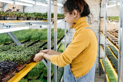 Young female farmer growing microgreens on indoor vertical garden. woman looking after plants. 