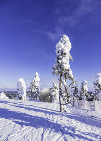 Snow covered mountain against sky