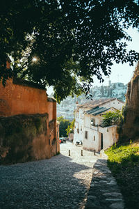 Footpath amidst buildings in town