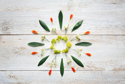 Directly above shot of multi colored flowers on table