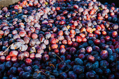Full frame shot of plums