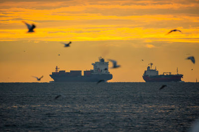 Birds flying over sea against sky during sunset