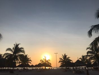 Silhouette palm trees by swimming pool against sky during sunset