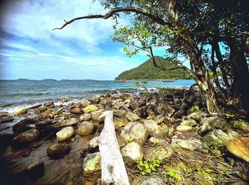 Scenic view of sea against sky