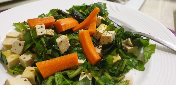 Close-up of meal served in plate