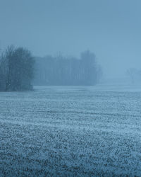 Scenic view of field against sky during winter