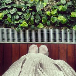 Low section of woman standing on wood by plants