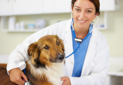 Portrait of veterinarian with dog in clinic