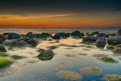 Scenic view of sea during sunset