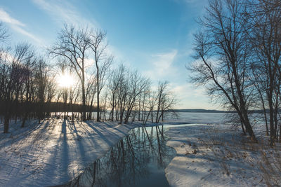 Bare trees by lake against sky during winter