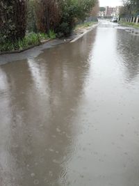 River in city during rainy season