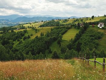 Scenic view of agricultural field against sky