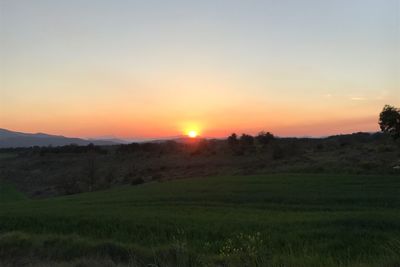 Scenic view of field against sky during sunset