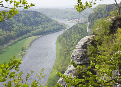 Scenic view of river amidst trees