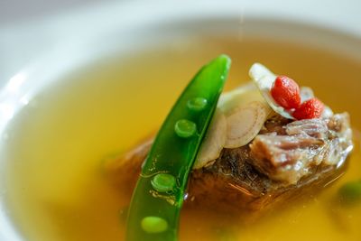 Close-up of seafood in plate