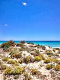 Scenic view of sea against clear blue sky