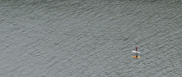 High angle view of person in water