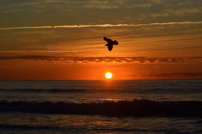 Silhouette bird flying over sea during sunset