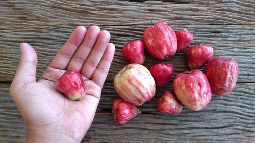 Close-up of hand holding fruits