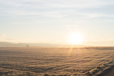 Scenic view of field against sky during sunset