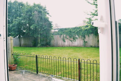 Closed gate of house