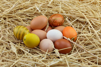 High angle view of easter eggs in nest