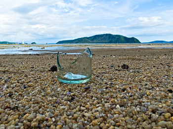 Surface level of pebbles on beach against sky