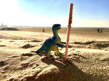 View of stuffed toy on sand