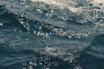 High angle view of turtle swimming in sea
