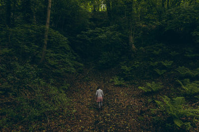 Rear view of man walking in forest