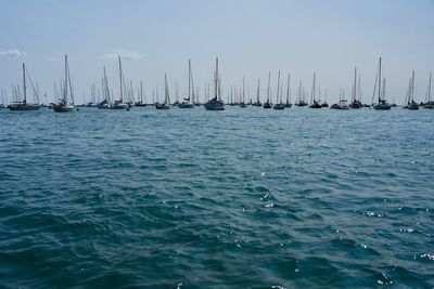 Sailboats sailing in lake against sky