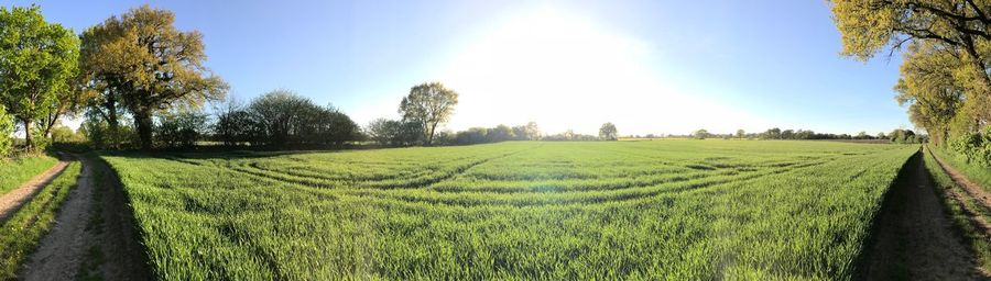 Scenic view of farm against sky