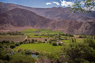 Scenic view of agricultural field against mountains