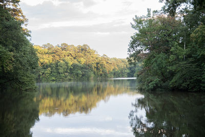 Scenic view of lake by trees against sky