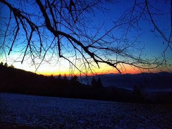 Bare trees on landscape at sunset