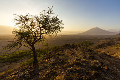 Scenic view of landscape against sky during sunset