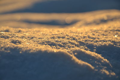 Close-up of snow against sky