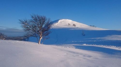 Scenic view of snow covered landscape against clear sky