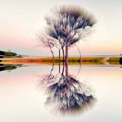 Digital composite image of tree by lake against sky