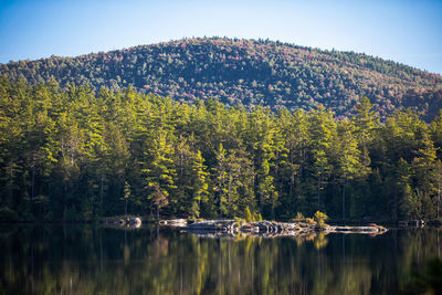 Scenic view of lake by trees against sky