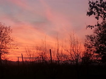 Silhouette trees against sky at sunset