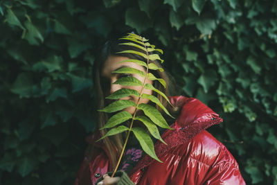 Close-up of red leaves on plant