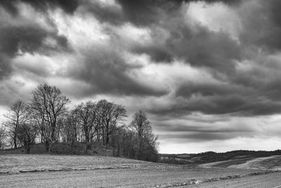 Trees on field against sky