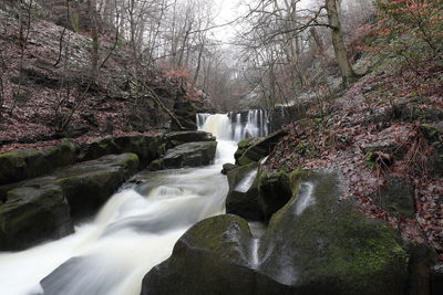 View of waterfall in forest