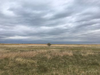 Scenic view of field against sky