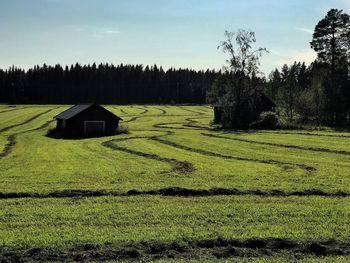 Scenic view of agricultural field against sky