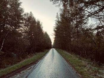 Road amidst trees