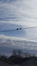 Birds perching on tree against sky