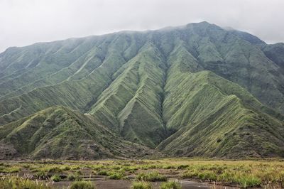 environment
