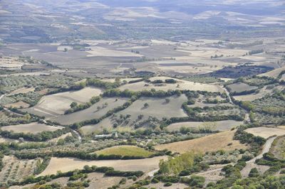 Aerial view of agricultural field